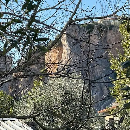 Il Volo Del Nibbio * Vecchiano